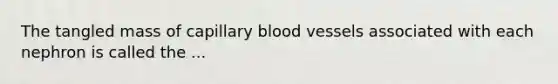 The tangled mass of capillary blood vessels associated with each nephron is called the ...