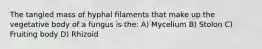 The tangled mass of hyphal filaments that make up the vegetative body of a fungus is the: A) Mycelium B) Stolon C) Fruiting body D) Rhizoid