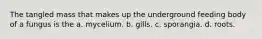 The tangled mass that makes up the underground feeding body of a fungus is the a. mycelium. b. gills. c. sporangia. d. roots.