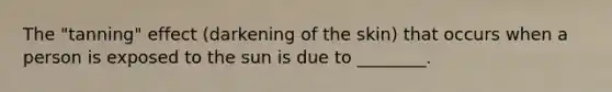 The "tanning" effect (darkening of the skin) that occurs when a person is exposed to the sun is due to ________.