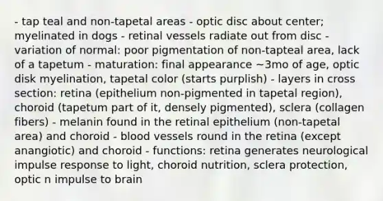 - tap teal and non-tapetal areas - optic disc about center; myelinated in dogs - retinal vessels radiate out from disc - variation of normal: poor pigmentation of non-tapteal area, lack of a tapetum - maturation: final appearance ~3mo of age, optic disk myelination, tapetal color (starts purplish) - layers in cross section: retina (epithelium non-pigmented in tapetal region), choroid (tapetum part of it, densely pigmented), sclera (collagen fibers) - melanin found in the retinal epithelium (non-tapetal area) and choroid - blood vessels round in the retina (except anangiotic) and choroid - functions: retina generates neurological impulse response to light, choroid nutrition, sclera protection, optic n impulse to brain