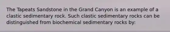 The Tapeats Sandstone in the Grand Canyon is an example of a clastic sedimentary rock. Such clastic sedimentary rocks can be distinguished from biochemical sedimentary rocks by: