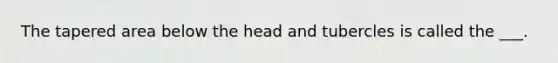 The tapered area below the head and tubercles is called the ___.