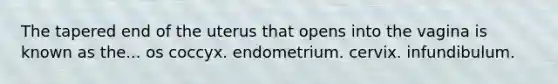 The tapered end of the uterus that opens into the vagina is known as the... os coccyx. endometrium. cervix. infundibulum.