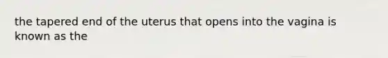 the tapered end of the uterus that opens into the vagina is known as the