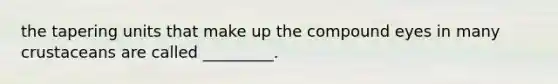 the tapering units that make up the compound eyes in many crustaceans are called _________.