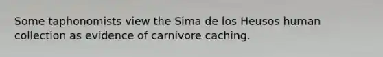 Some taphonomists view the Sima de los Heusos human collection as evidence of carnivore caching.