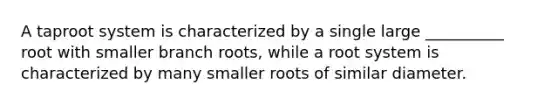 A taproot system is characterized by a single large __________ root with smaller branch roots, while a root system is characterized by many smaller roots of similar diameter.