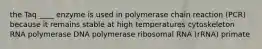 the Taq ____ enzyme is used in polymerase chain reaction (PCR) because it remains stable at high temperatures cytoskeleton RNA polymerase DNA polymerase ribosomal RNA (rRNA) primate