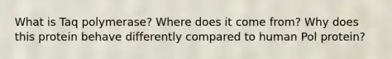 What is Taq polymerase? Where does it come from? Why does this protein behave differently compared to human Pol protein?