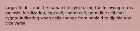 target 5: describe the human life cycle using the following terms- meiosis, fertilization, egg cell, sperm cell, germ line cell and zygote indicating when cells change from haploid to diploid and vice versa