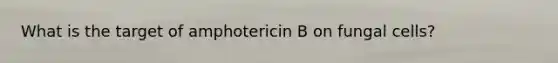 What is the target of amphotericin B on fungal cells?