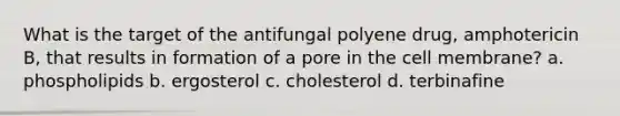 What is the target of the antifungal polyene drug, amphotericin B, that results in formation of a pore in the cell membrane? a. phospholipids b. ergosterol c. cholesterol d. terbinafine