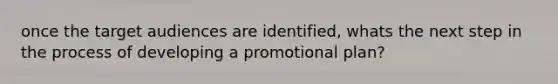 once the target audiences are identified, whats the next step in the process of developing a promotional plan?