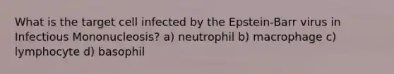 What is the target cell infected by the Epstein-Barr virus in Infectious Mononucleosis? a) neutrophil b) macrophage c) lymphocyte d) basophil