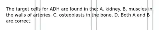 The target cells for ADH are found in the: A. kidney. B. muscles in the walls of arteries. C. osteoblasts in the bone. D. Both A and B are correct.