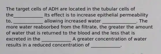 The target cells of ADH are located in the tubular cells of the_____________ Its effect is to increase epithelial permeability to, _____________ allowing increased water _______________. The more water reabsorbed from the filtrate, the greater the amount of water that is returned to the blood and the less that is excreted in the _____________ A greater concentration of water results in a reduced concentration of _____________.