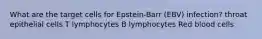 What are the target cells for Epstein-Barr (EBV) infection? throat epithelial cells T lymphocytes B lymphocytes Red blood cells