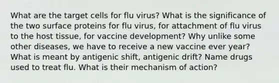 What are the target cells for flu virus? What is the significance of the two surface proteins for flu virus, for attachment of flu virus to the host tissue, for vaccine development? Why unlike some other diseases, we have to receive a new vaccine ever year? What is meant by antigenic shift, antigenic drift? Name drugs used to treat flu. What is their mechanism of action?