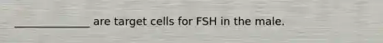 ______________ are target cells for FSH in the male.