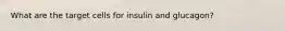 What are the target cells for insulin and glucagon?