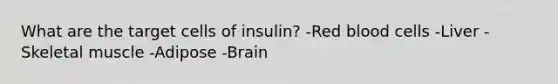 What are the target cells of insulin? -Red blood cells -Liver -Skeletal muscle -Adipose -Brain