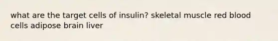 what are the target cells of insulin? skeletal muscle red blood cells adipose brain liver