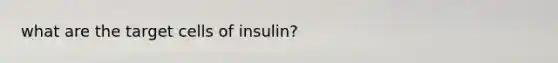 what are the target cells of insulin?