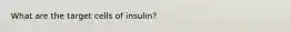 What are the target cells of insulin?