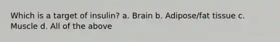 Which is a target of insulin? a. Brain b. Adipose/fat tissue c. Muscle d. All of the above