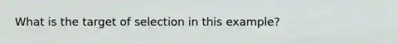 What is the target of selection in this example?