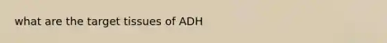 what are the target tissues of ADH