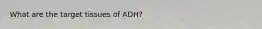 What are the target tissues of ADH?