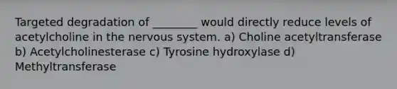 Targeted degradation of ________ would directly reduce levels of acetylcholine in the nervous system. a) Choline acetyltransferase b) Acetylcholinesterase c) Tyrosine hydroxylase d) Methyltransferase