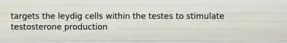 targets the leydig cells within the testes to stimulate testosterone production