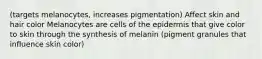 (targets melanocytes, increases pigmentation) Affect skin and hair color Melanocytes are cells of the epidermis that give color to skin through the synthesis of melanin (pigment granules that influence skin color)