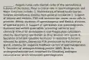 ________, -Targets nurse cells (Sertoli cells) of the seminiferous tubules of the testes, Plays a critical role in spermatogenesis and Major functions include: 1. Maintenance of blood testis barrier, Isolates seminiferous tubules from general circulation 2. Support of mitosis and meiosis, FSH and testosterone cause nurse cells to promote: Mitotic divisions of spermatogonia and Meiotic divisions of spermatocytes 3. Support of spermatids and spermiogenesis, Surround and enfold spermatids, providing nutrients and chemical stimuli for development and Phagocytize cytoplasm shed by developing spermatids as they develop into sperm 4. Secretion of inhibin (peptide hormone) in response to factors released by sperm, Depresses FSH production by the pituitary gland, allowing for negative feedback control of spermatogenesis 5. Secretion of androgen-binding protein (ABP), Binds to androgens/testosterone; important for Elevating androgen concentration which stimulates spermiogenesis