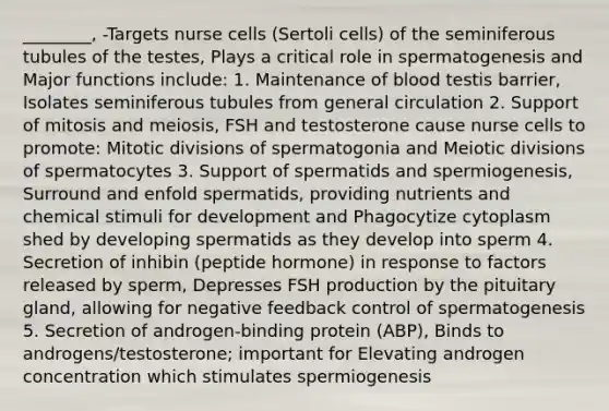 ________, -Targets nurse cells (Sertoli cells) of the seminiferous tubules of the testes, Plays a critical role in spermatogenesis and Major functions include: 1. Maintenance of blood testis barrier, Isolates seminiferous tubules from general circulation 2. Support of mitosis and meiosis, FSH and testosterone cause nurse cells to promote: Mitotic divisions of spermatogonia and Meiotic divisions of spermatocytes 3. Support of spermatids and spermiogenesis, Surround and enfold spermatids, providing nutrients and chemical stimuli for development and Phagocytize cytoplasm shed by developing spermatids as they develop into sperm 4. Secretion of inhibin (peptide hormone) in response to factors released by sperm, Depresses FSH production by the pituitary gland, allowing for negative feedback control of spermatogenesis 5. Secretion of androgen-binding protein (ABP), Binds to androgens/testosterone; important for Elevating androgen concentration which stimulates spermiogenesis