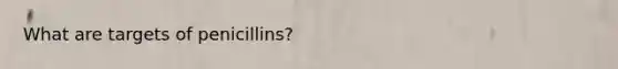 What are targets of penicillins?