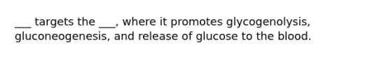 ___ targets the ___, where it promotes glycogenolysis, gluconeogenesis, and release of glucose to the blood.