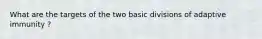 What are the targets of the two basic divisions of adaptive immunity ?