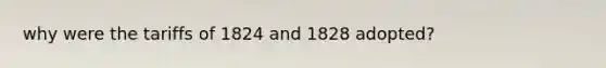 why were the tariffs of 1824 and 1828 adopted?