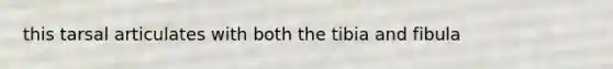 this tarsal articulates with both the tibia and fibula