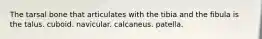 The tarsal bone that articulates with the tibia and the fibula is the talus. cuboid. navicular. calcaneus. patella.