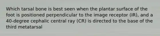 Which tarsal bone is best seen when the plantar surface of the foot is positioned perpendicular to the image receptor (IR), and a 40-degree cephalic central ray (CR) is directed to the base of the third metatarsal