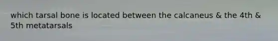 which tarsal bone is located between the calcaneus & the 4th & 5th metatarsals