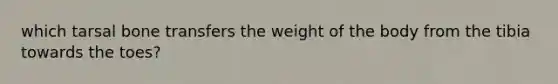 which tarsal bone transfers the weight of the body from the tibia towards the toes?