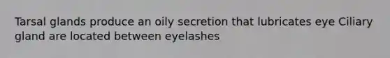 Tarsal glands produce an oily secretion that lubricates eye Ciliary gland are located between eyelashes