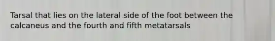 Tarsal that lies on the lateral side of the foot between the calcaneus and the fourth and fifth metatarsals