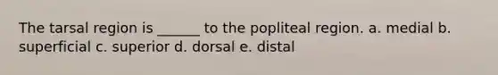 The tarsal region is ______ to the popliteal region. a. medial b. superficial c. superior d. dorsal e. distal